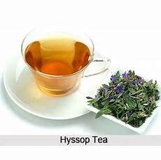 Hyssop Tea