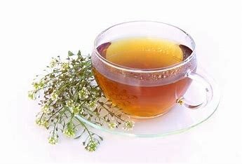 Yarrow Herb Tea