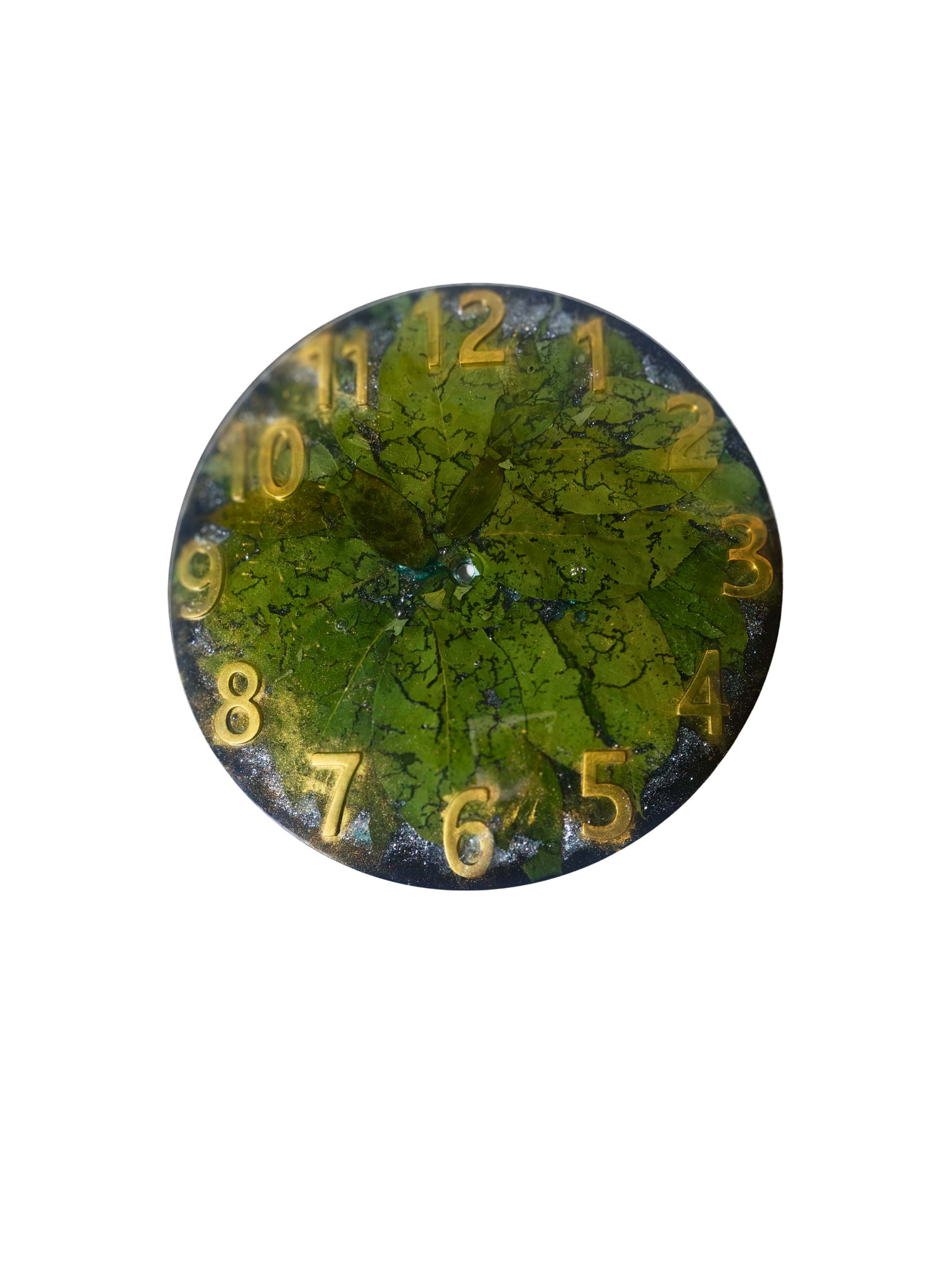 Growing with the Time