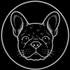De Texelse Bullies