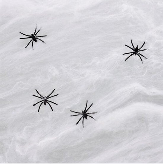 Halloween Spinnenweb