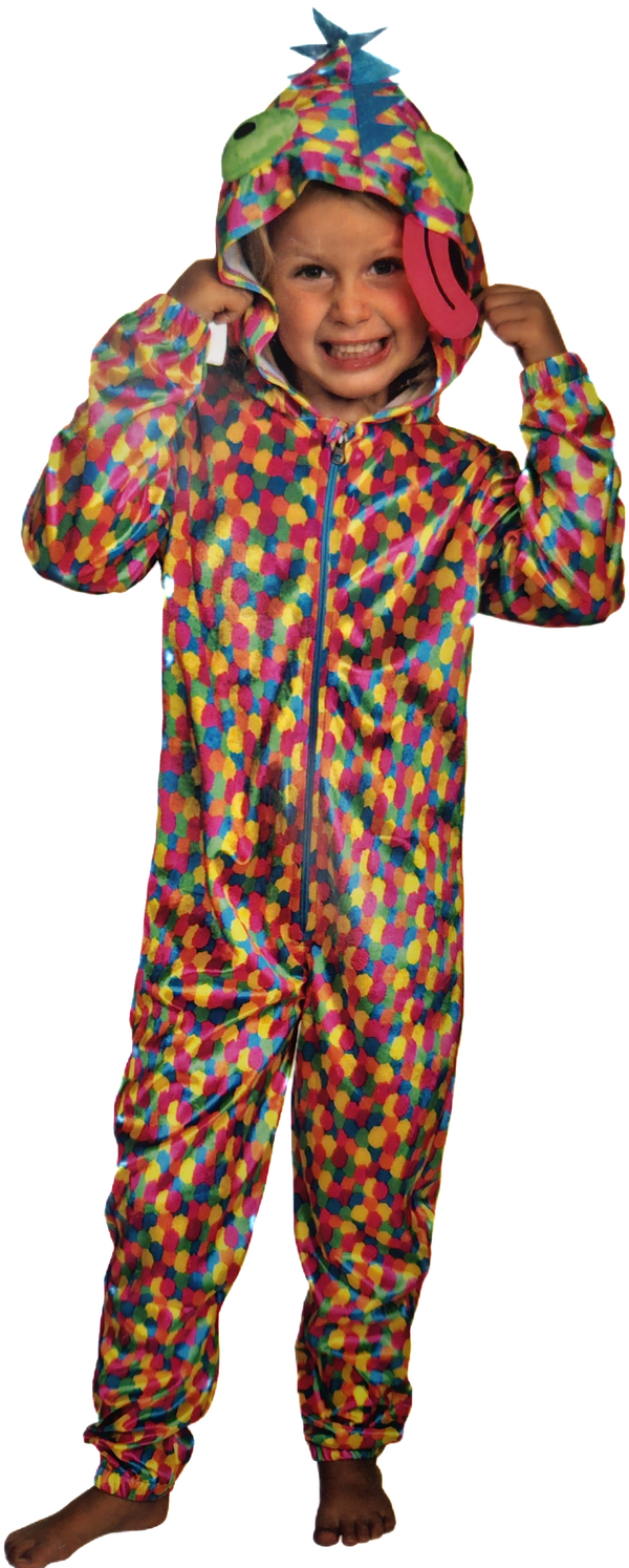 gekleurde gekko onesie