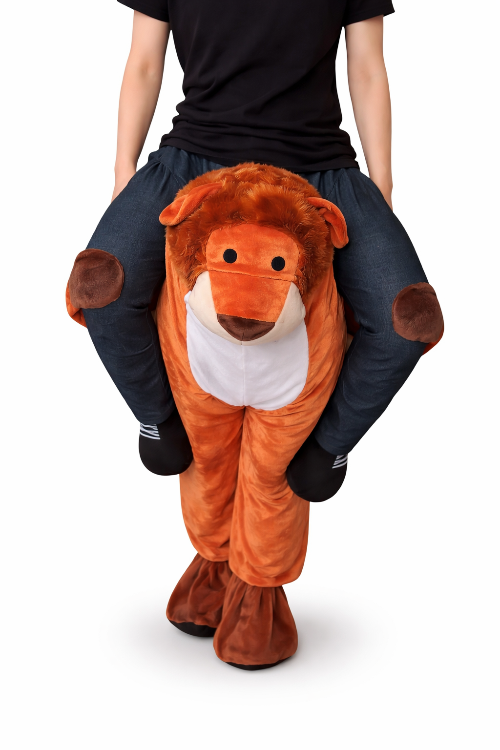 Loopbroek leeuw volwassen