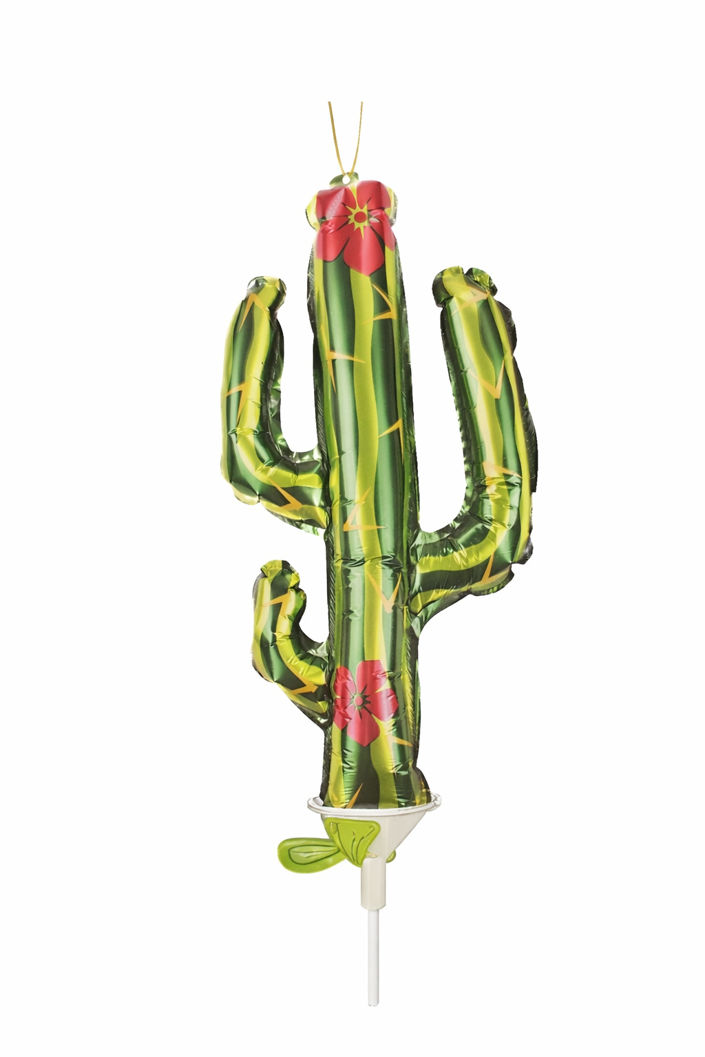 Cactus ballon