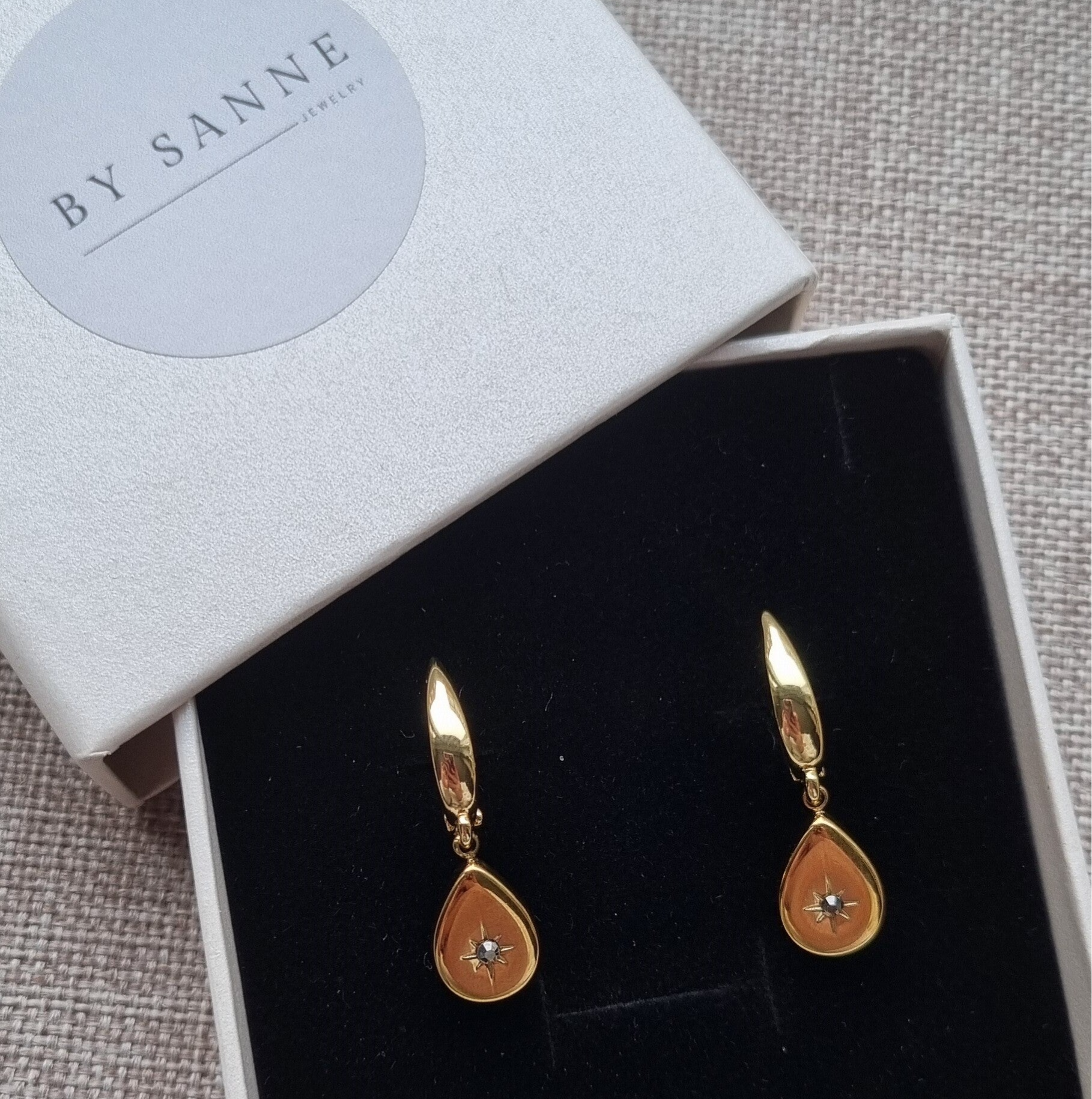 Stainless steel oorbellen met druppel