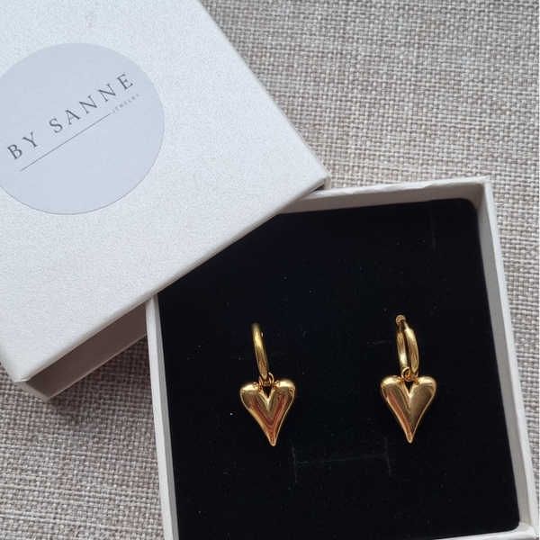 Stainless steel hoops met hart