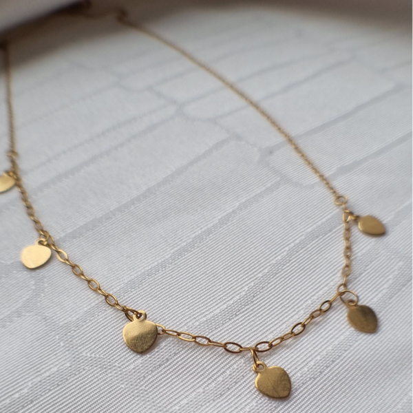 Ketting met muntjes - CIRI