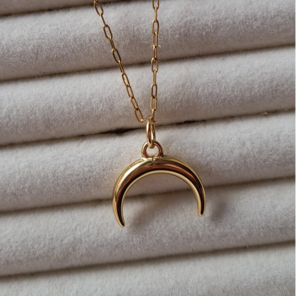 Stainless steel ketting met bedel, hoorn - COWBOY