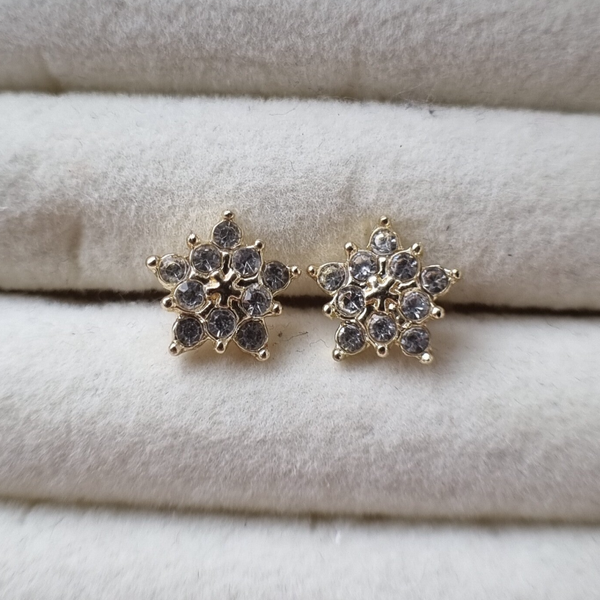 Stainless steel studs met zirconia - TWINKLE