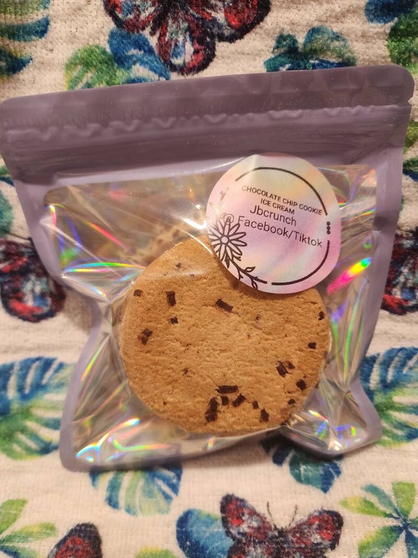 Chocolate chip ice cream sandwich