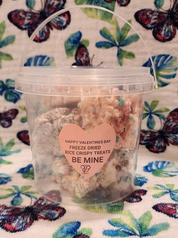 Freeze dried rice crispy treats
