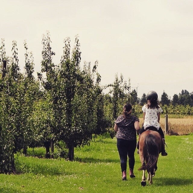 wandelen met pony's in de natuur voor het ganse gezin. Leuke weekend uitstap.