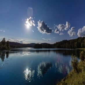 20230708-2v8a7380jpg.jpg
