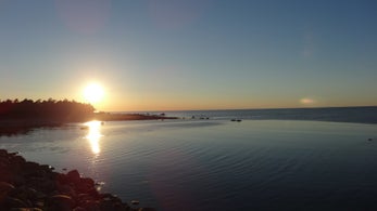 dsc09355jpg.jpg