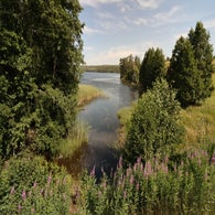 2v8a7570jpg.jpg