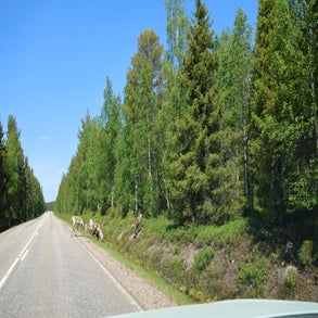 2v8a3860jpg.jpg