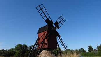 dsc09593jpg.jpg
