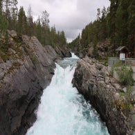 2v8a6598jpg.jpg