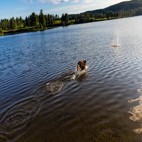 20230708-2v8a7455jpg.jpg