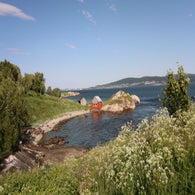 2v8a5958jpg.jpg