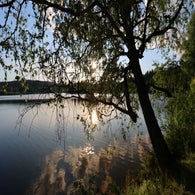 2v8a7547jpg.jpg