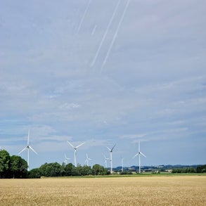 20230715_1052542.jpg