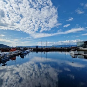 hafen1jpg.jpg