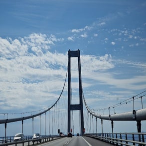 20230715_154217.jpg