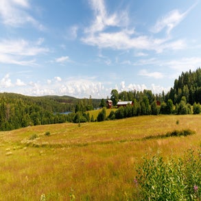 20230710-2v8a7575jpg.jpg