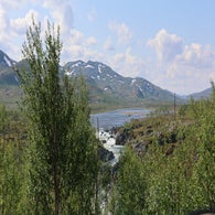 2v8a4222jpg-1.jpg