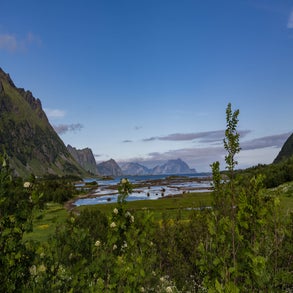 20230625-2v8a4880jpg.jpg