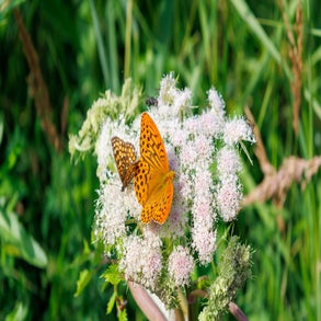 20230710-2v8a7646jpg.jpg