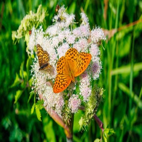 20230710-2v8a7651jpg.jpg