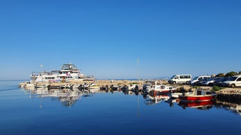 20220626_070541.jpg