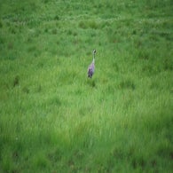 2v8a7855jpg.jpg