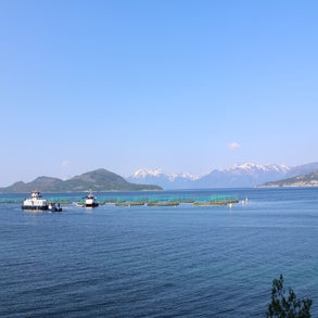 2v8a4291jpg.jpg