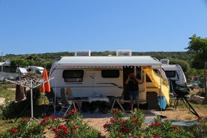 img_2973jpg.jpg