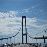 20230715_154217-1.jpg