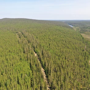 dji_0874jpg.jpg