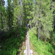 2v8a3696jpg.jpg