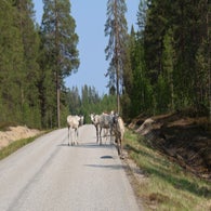 2v8a3639jpg.jpg