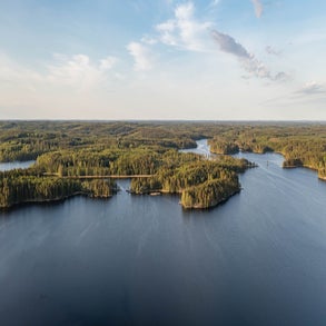 20230611-dji_0789jpg.jpg