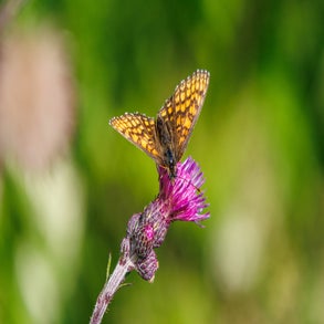 20230710-2v8a7612jpg.jpg