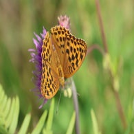2v8a7636jpg.jpg