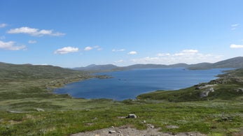 dsc07701jpg.jpg