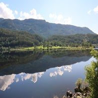 2v8a7137jpg.jpg