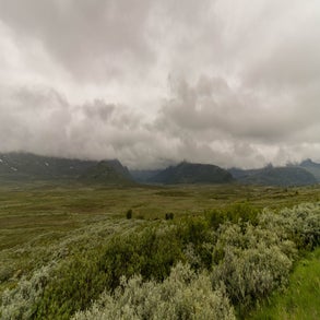 20230706-2v8a7089jpg.jpg