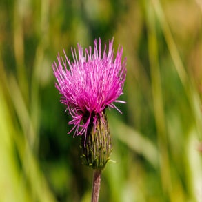 20230710-2v8a7590jpg.jpg