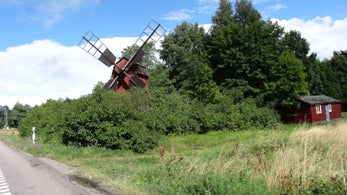 dsc09146jpg.jpg