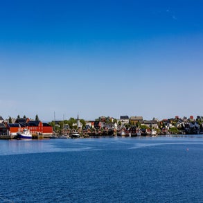 20230625-2v8a4826jpg.jpg